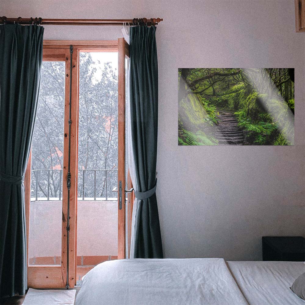 WandPoster Teneriffa Anaga Regenwald, 50x50cm