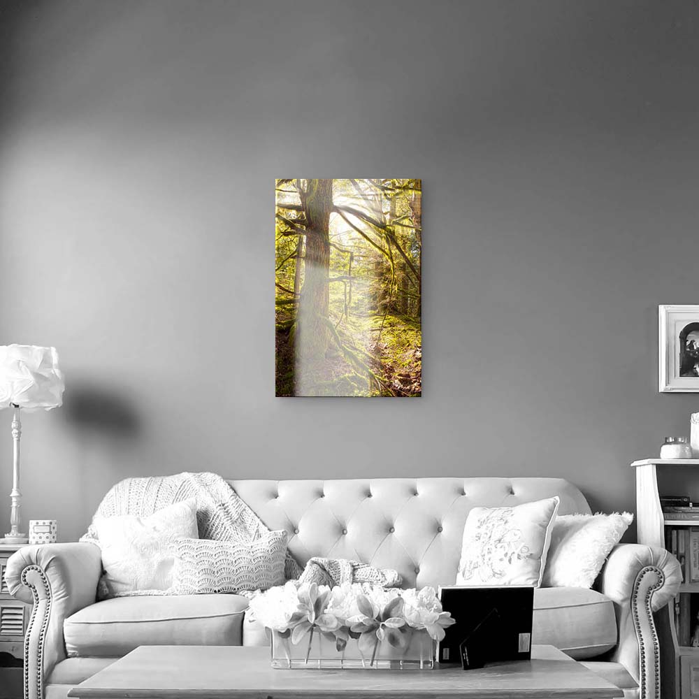 Wald Baum im XXL Hochformat, Sonnenhain als Acrylglasbild 100x150cm