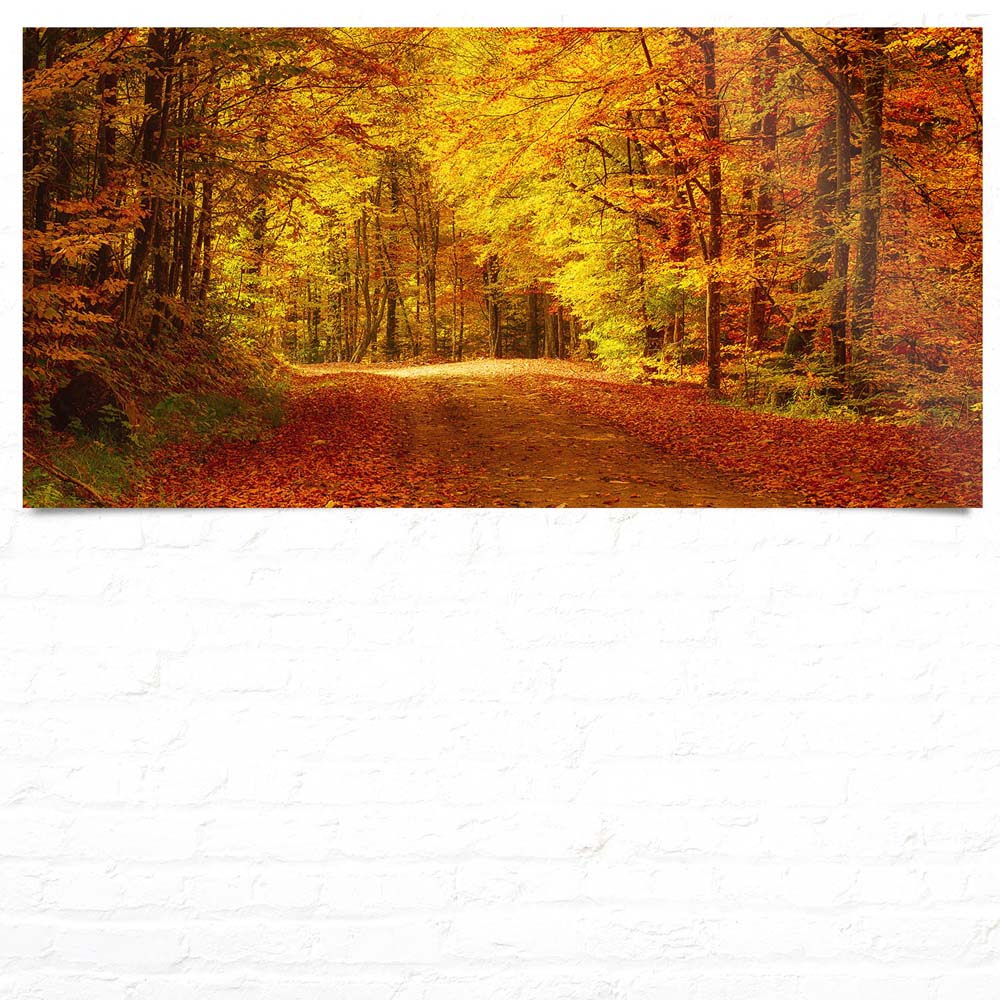 Großformat WandPoster Wald & Bäume Goldener Waldweg, 180x90cm