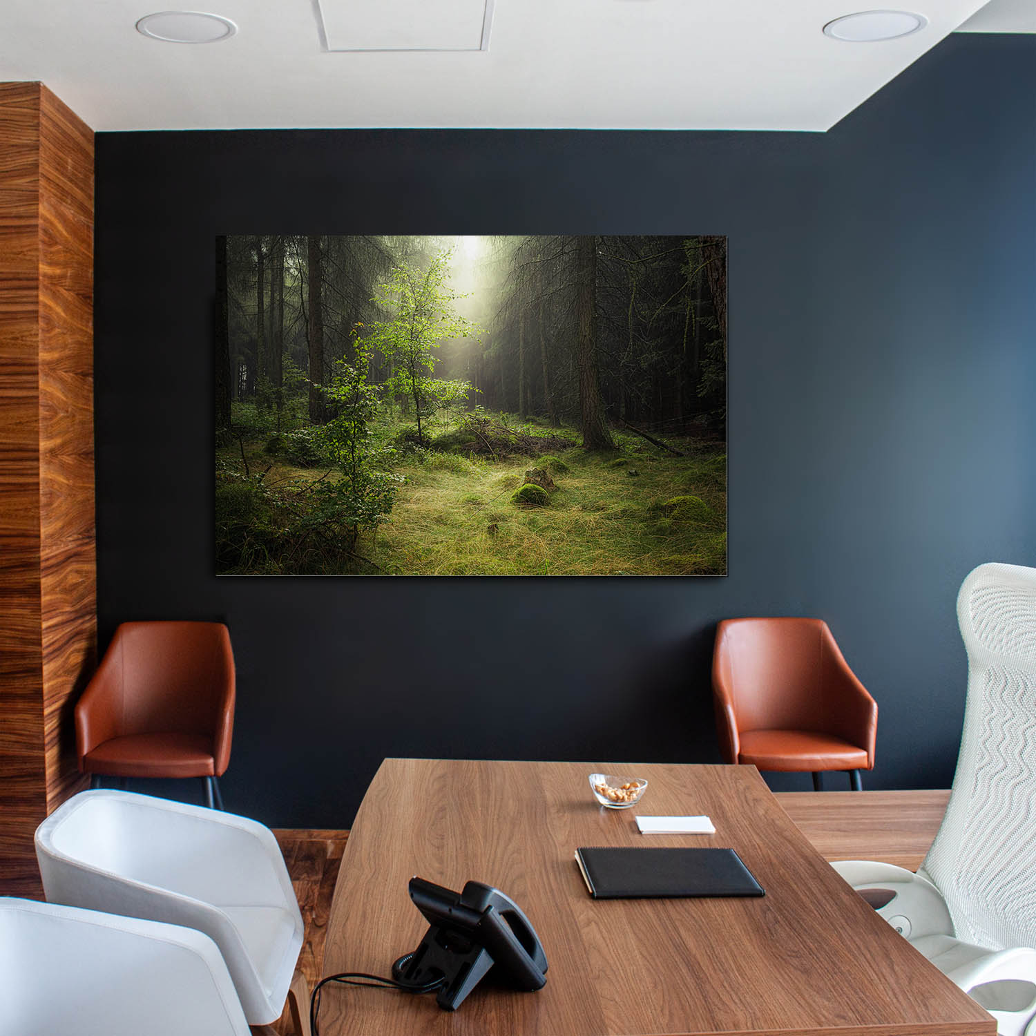 Wald & Bäume Lichtung als Alu-Dibond Bild 120x60cm