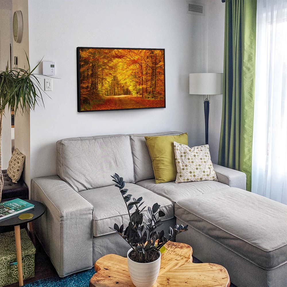 Wald & Bäume Goldener Waldweg im schwarzen Bilderrahmen, 80x80cm