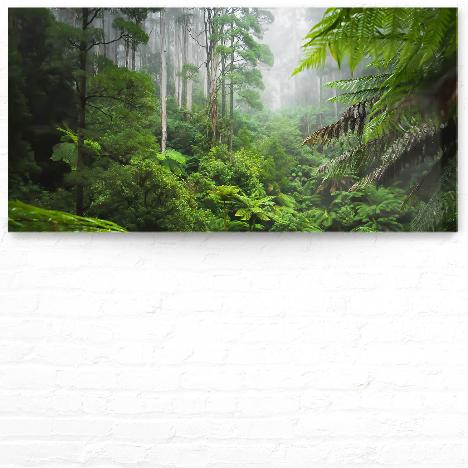 Panorama Acrylglasbild 180x90cm Regenwald Dschungeltraum