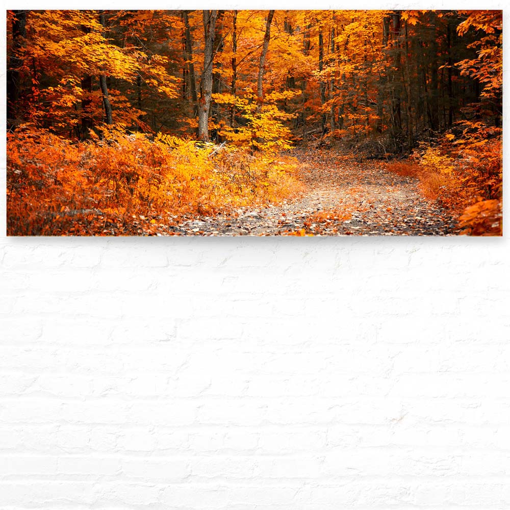 Acrylglasbild Wald & Bäume, Herbst Wanderung II, 110x50cm groß