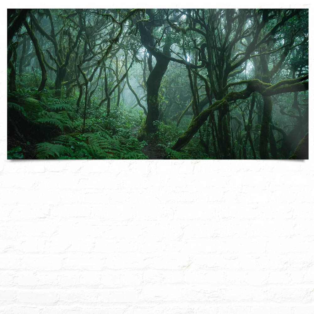 Großformat WandPoster Wald Dschungel Düstere Bäume, 180x90cm