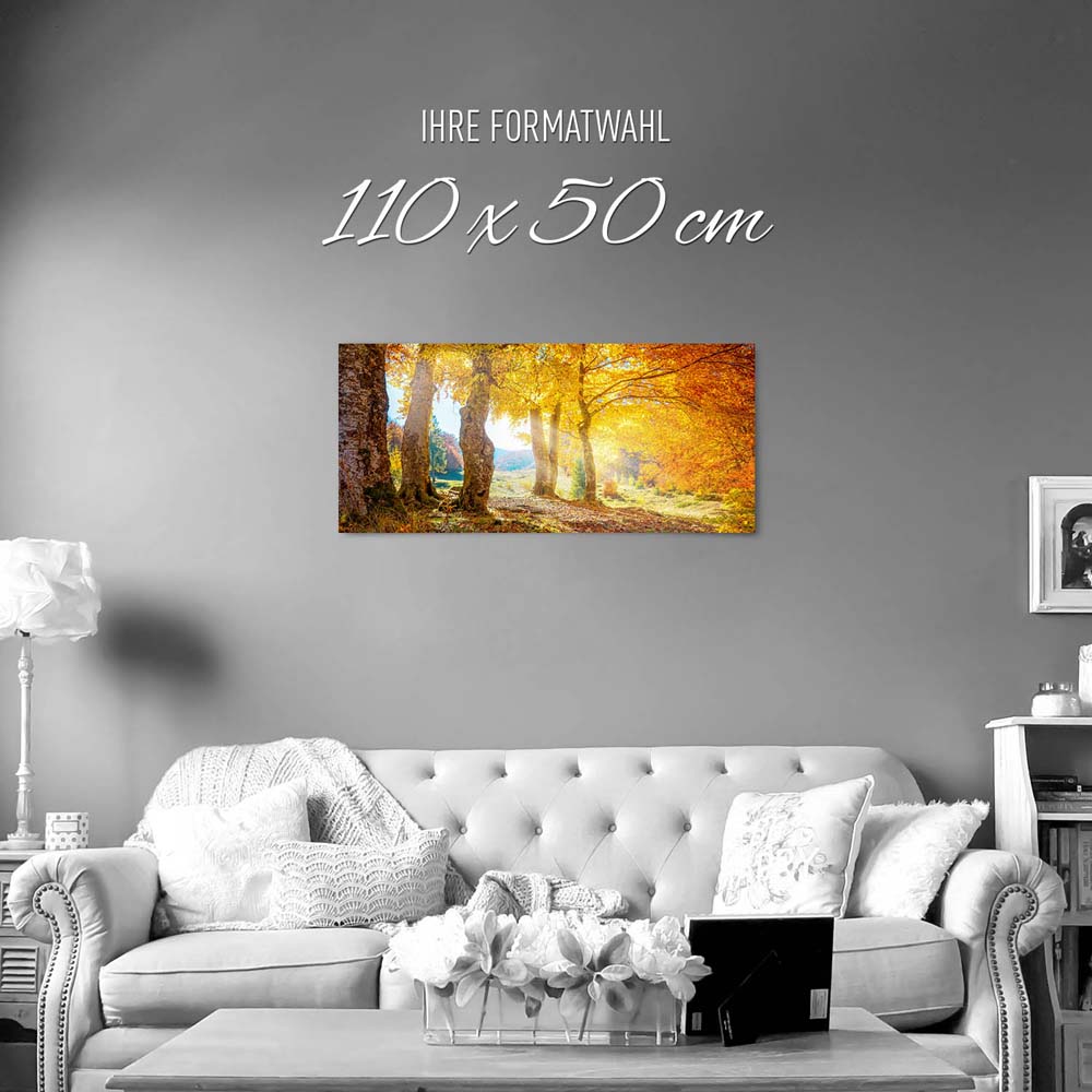 Wald & Bäume Herbst Sonne als Poster 110x50cm