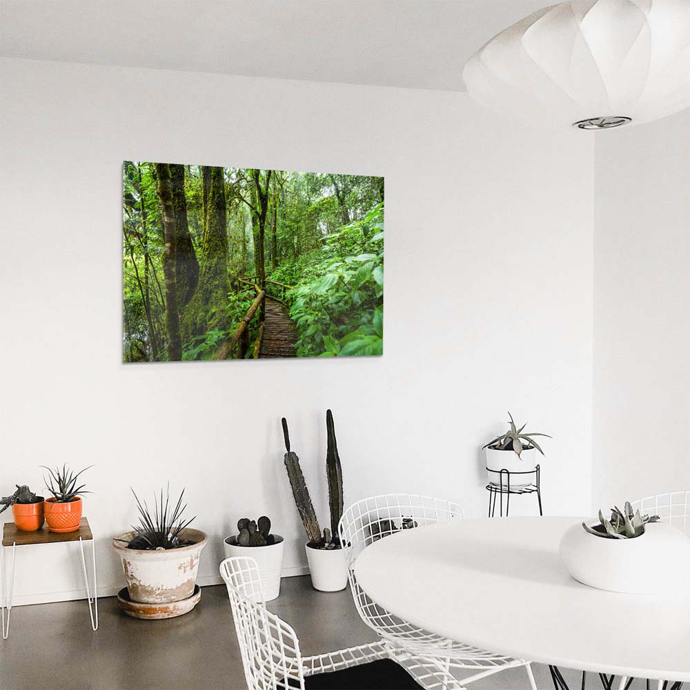 Panorama Acrylglasbild 180x90cm Regenwald Holzpfad