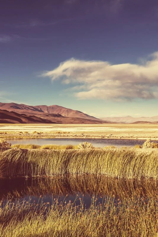 Poster 40x60cm im Hochformat, Nord Argentinien Berge & Gebirge