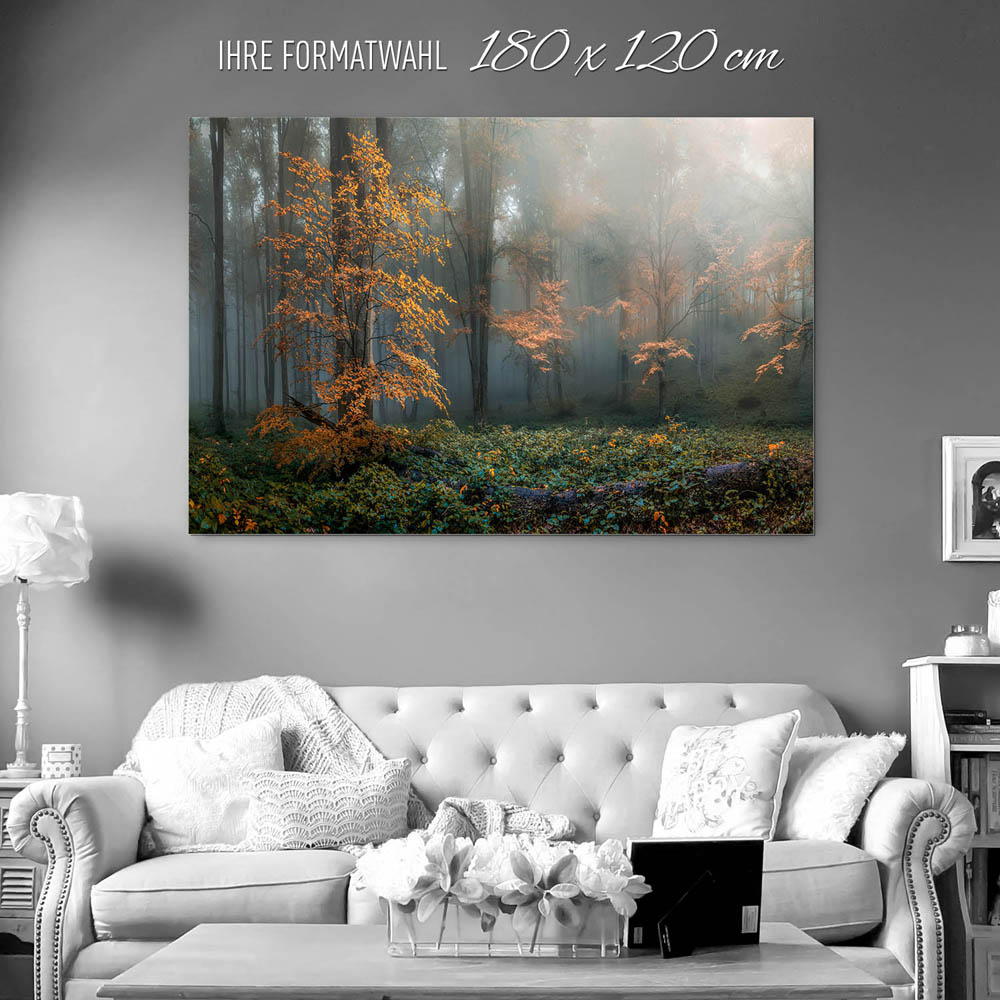 XXL Alu-Dibond Bild 180x120cm groß, Wald Herbstidylle
