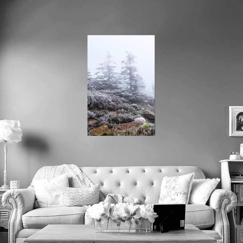 Poster 80x120cm Hochformat, Wald & Bäume Schwarzwald Frost