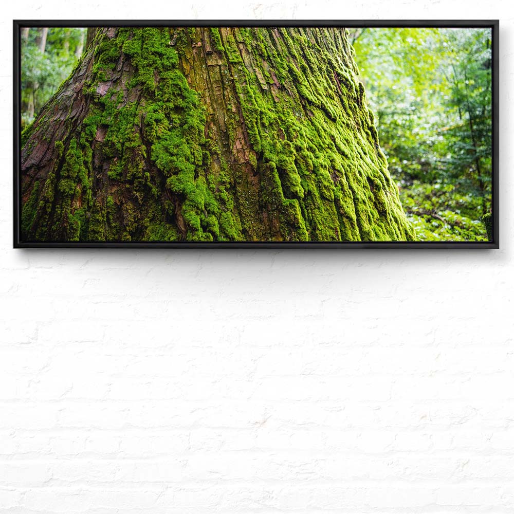 Wald & Baum Moos im schwarzen Bilderrahmen, 110x50cm
