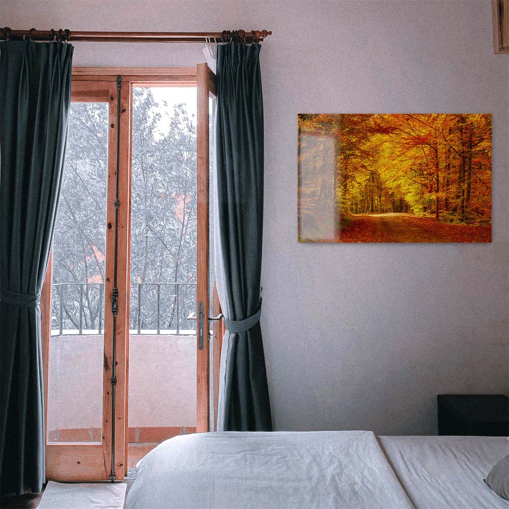Panorama Acrylglasbild 180x90cm Wald & Bäume Goldener Waldweg