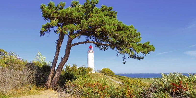 Strand & Meer Leuttchtturm Hiddensee Ostsee im schwarzen Bilderrahmen, 120x60cm