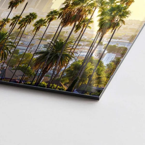 Skyline Los Angeles Palmen als Acrylglasverbund Bild 200x150cm