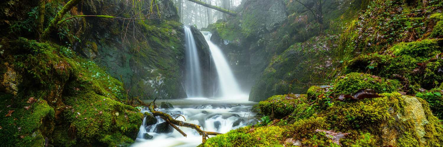 Panorama Poster 150x50cm, Wald & Bäume Wasserfall im Schwarzwald