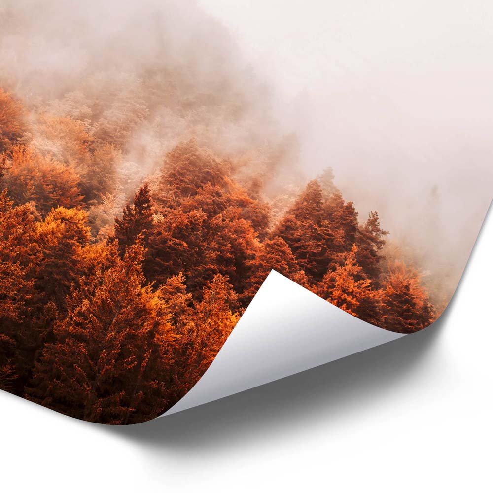 Poster 50x50cm Herbst Nebelwald Wald & Bäume