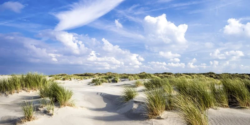 Strand & Meer Dünen Langenoog Nordsee als Acrylglas Bild 120x60cm