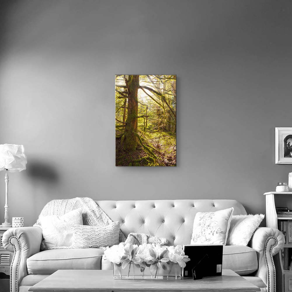 Keilrahmenbild Hochformat, Wald Baum, Sonnenhain 60x90cm groß