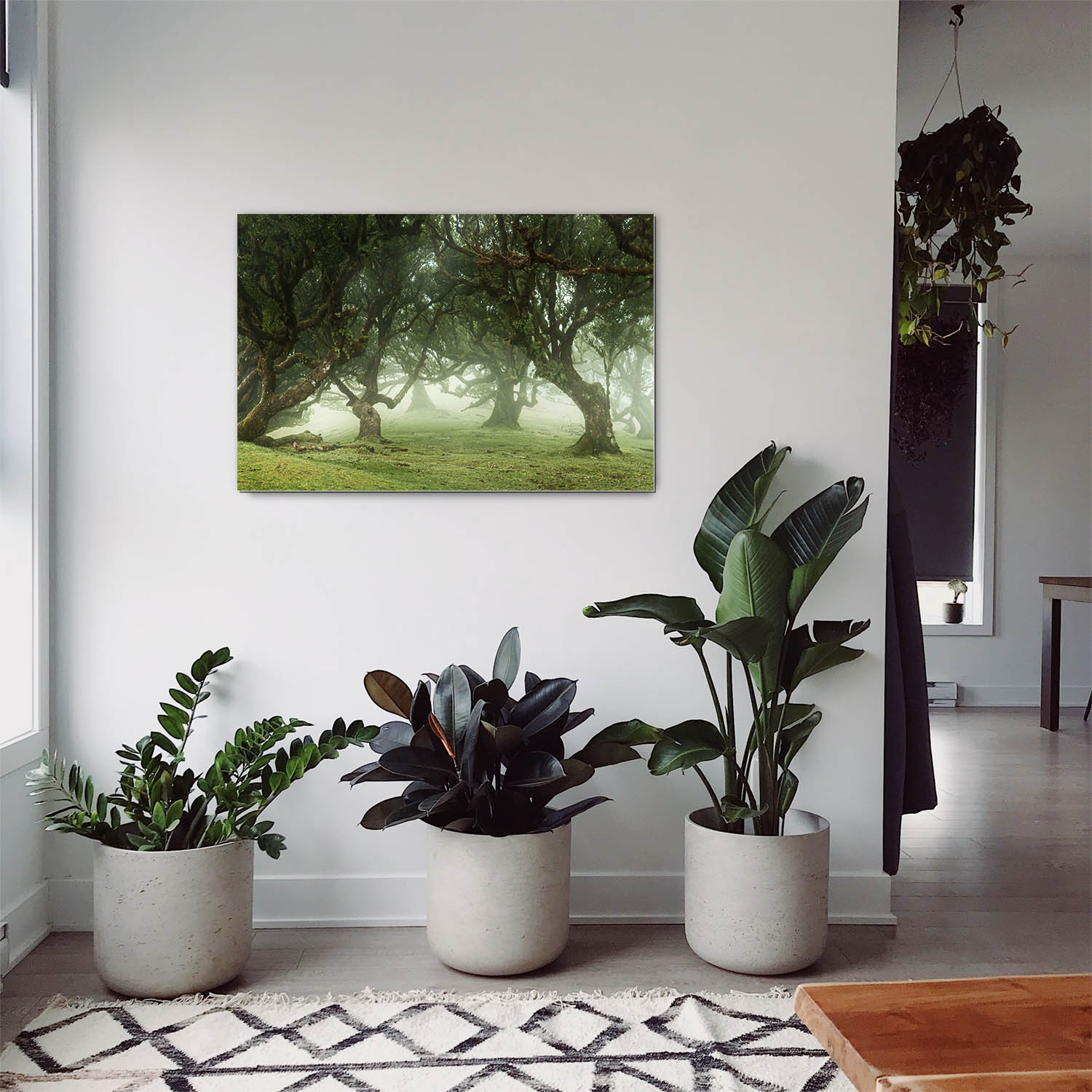 Alu-Dibond Bild 150x50cm groß Wald & Bäume Nebel Gestalten