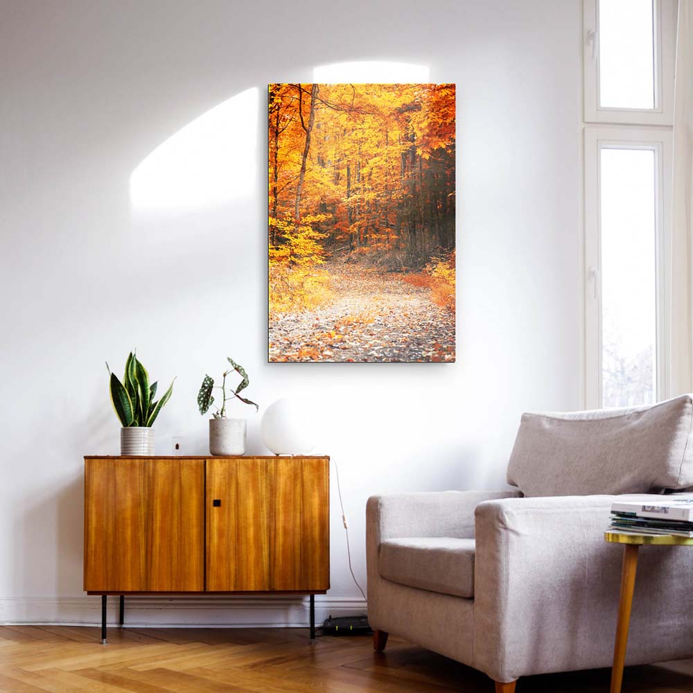 Wald & Bäume Herbst Wanderung II als Acrylglasverbund Bild 180x90cm