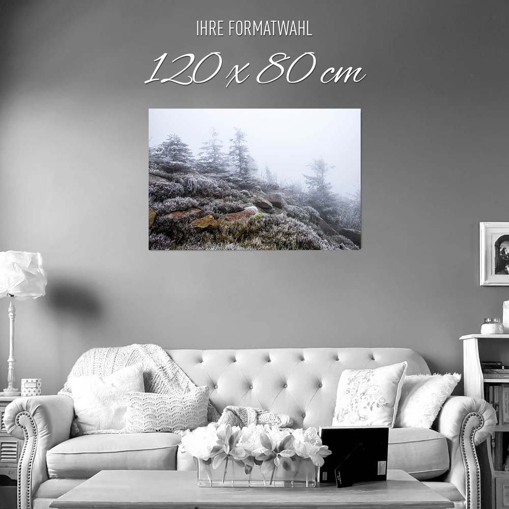 Poster 120x80cm groß, Wald & Bäume Schwarzwald Frost