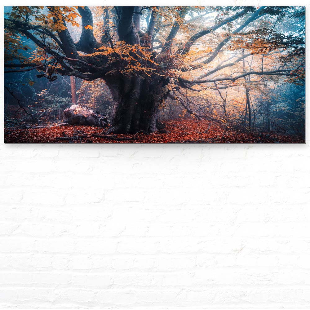 Baum Herbstbuche als Acrylglasverbund Bild 110x50cm