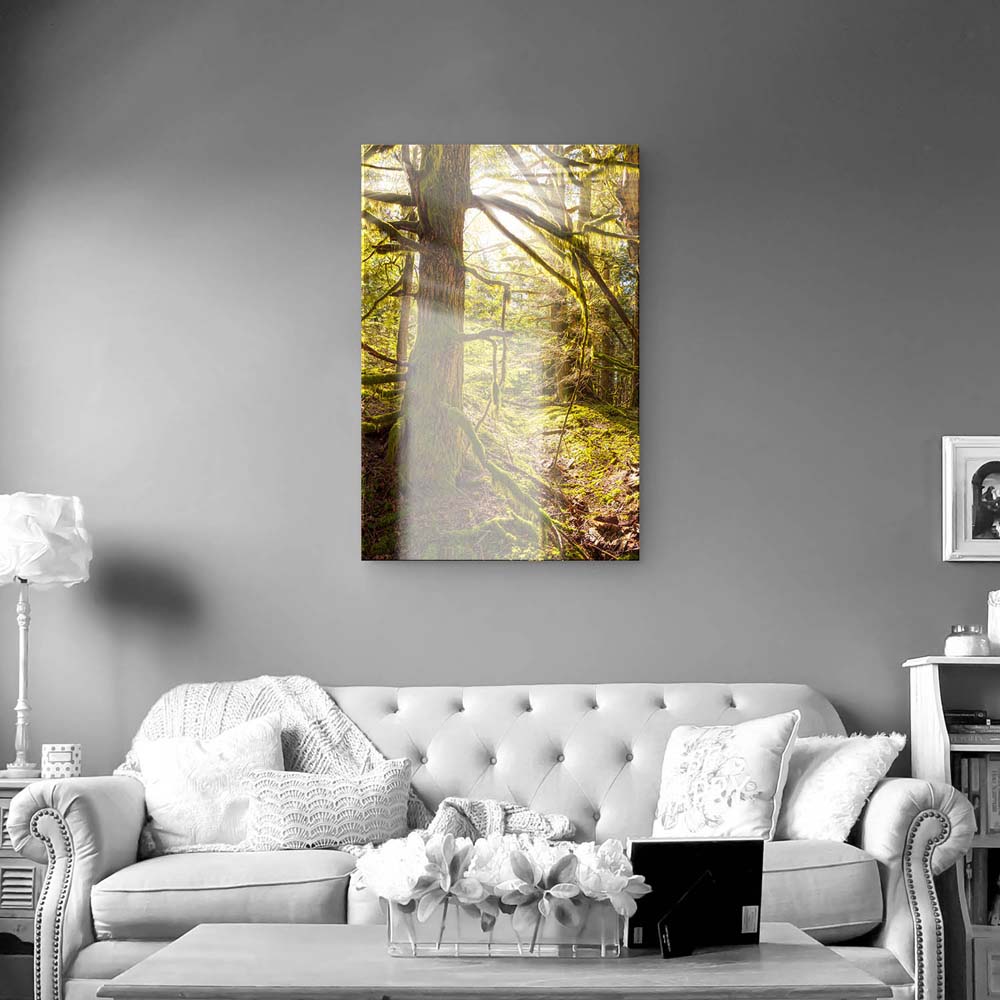 Wald Baum im Hochformat, Sonnenhain als Acrylglas Bild 80x120cm