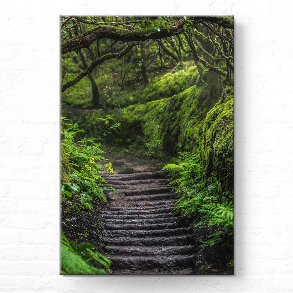 Leinwandbild Hochformat XXL 100x150cm, Teneriffa Anaga Regenwald