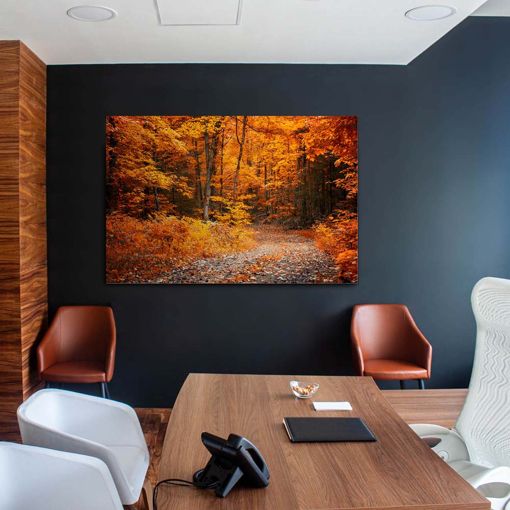 Wald & Bäume Herbst Wanderung II als Alu-Dibond Bild 120x60cm