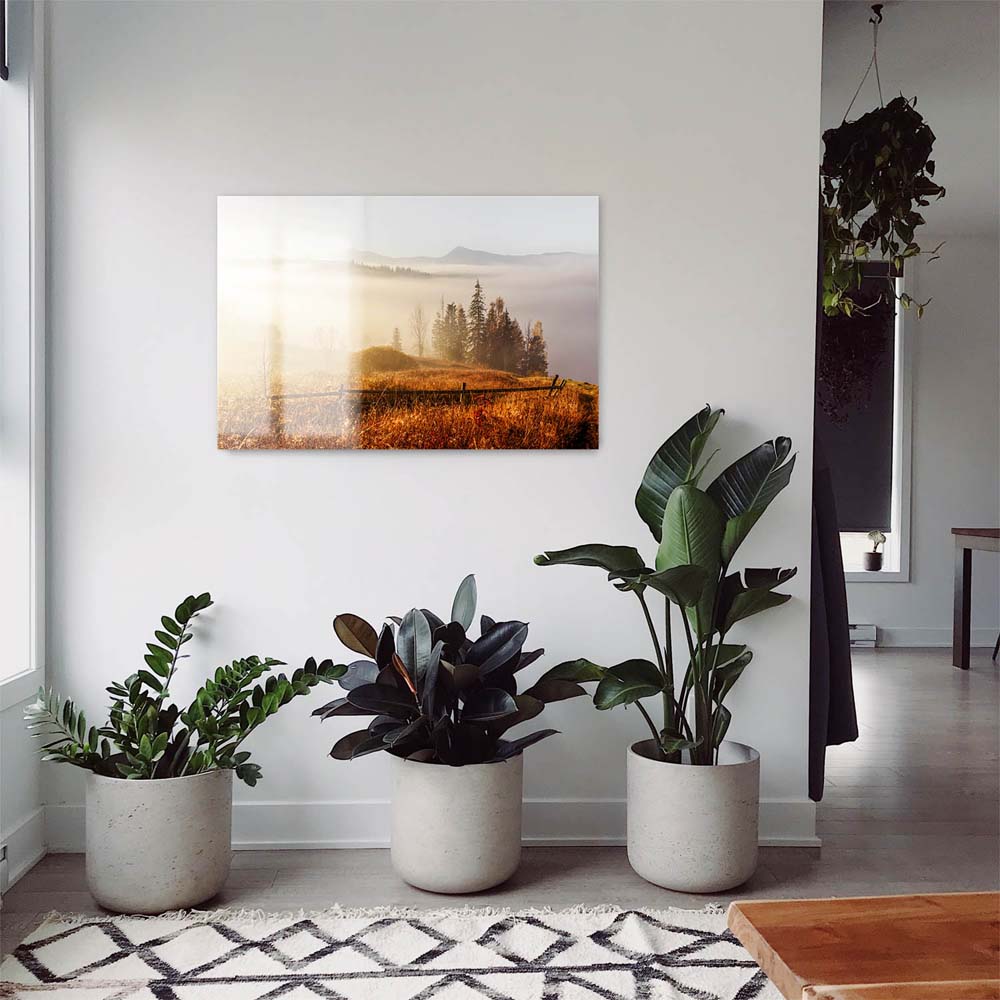 Panorama Acrylglasbild 180x90cm Wald & Bäume Herbst in den Karbaten
