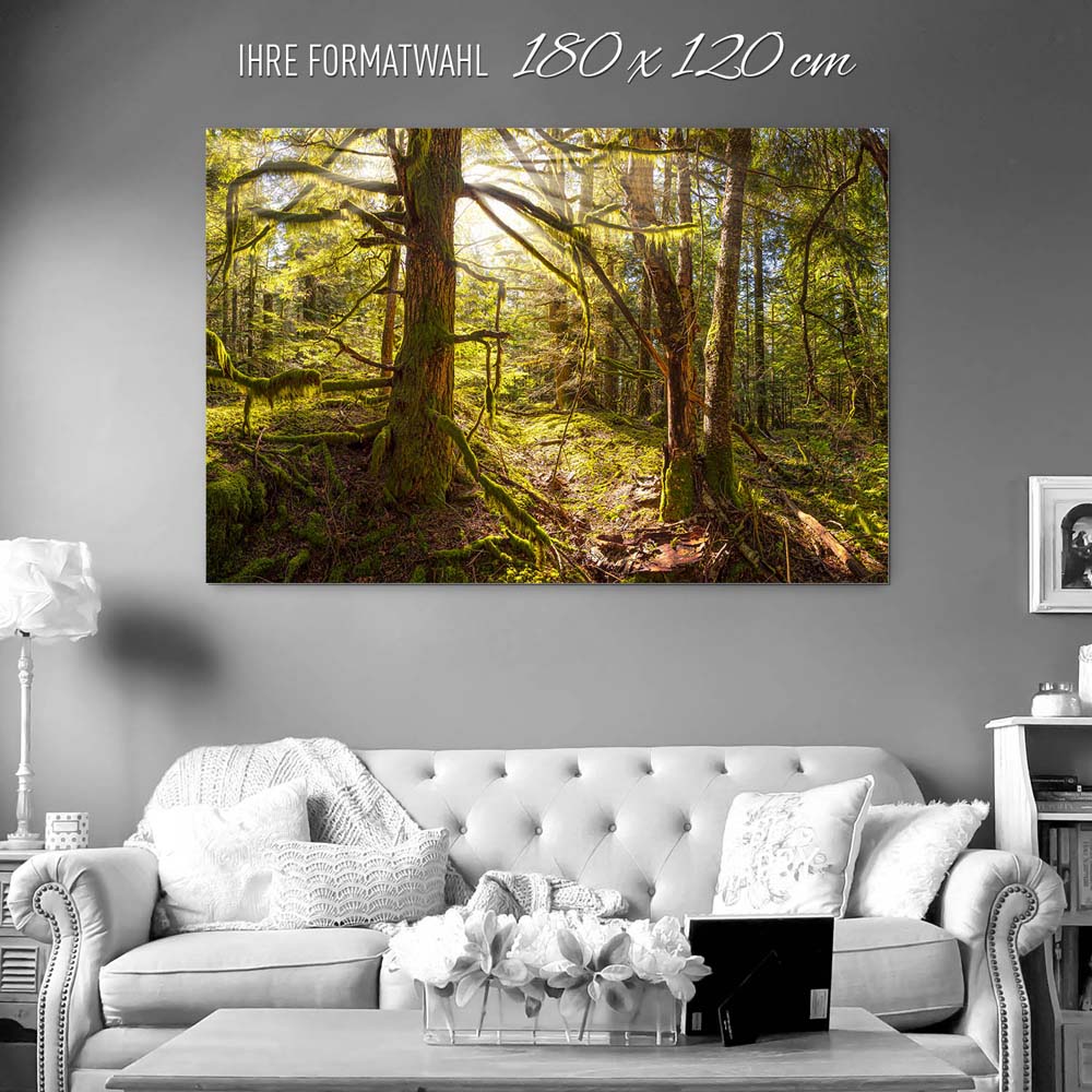 XXL Alu-Dibond Bild 180x120cm groß, Wald Baum Sonnenhain