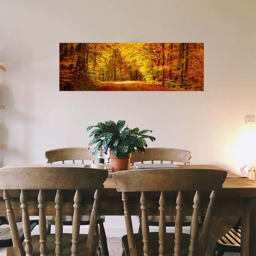 Poster 50x50cm Goldener Waldweg Wald & Bäume