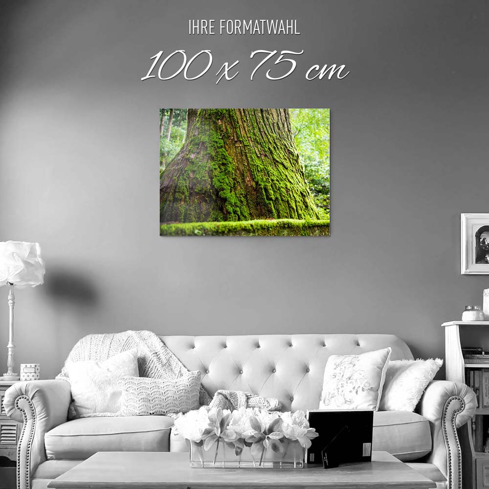 Wald & Baum Moos als Acrylglasverbund Bild 100x75cm