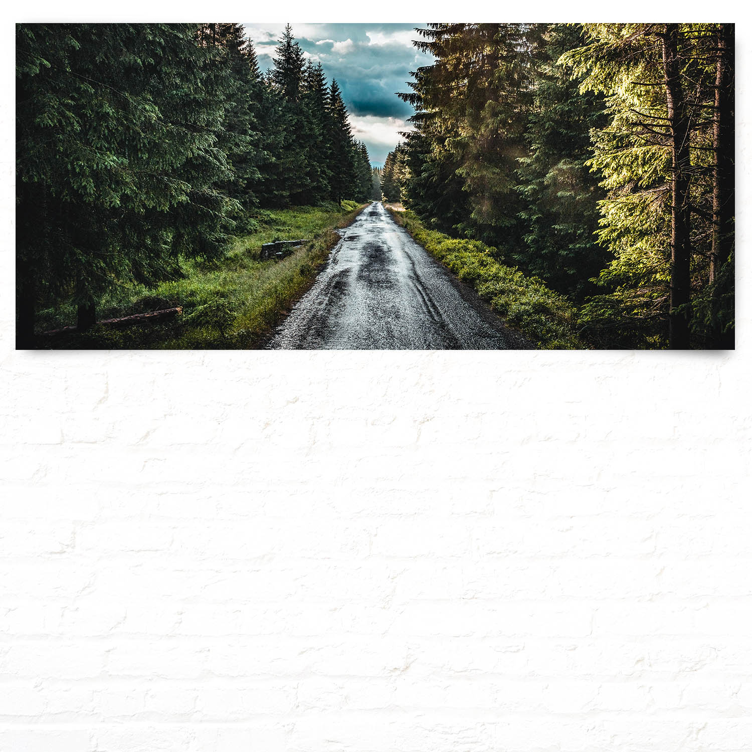 Wald & Bäume Tannenpfad als Poster 110x50cm