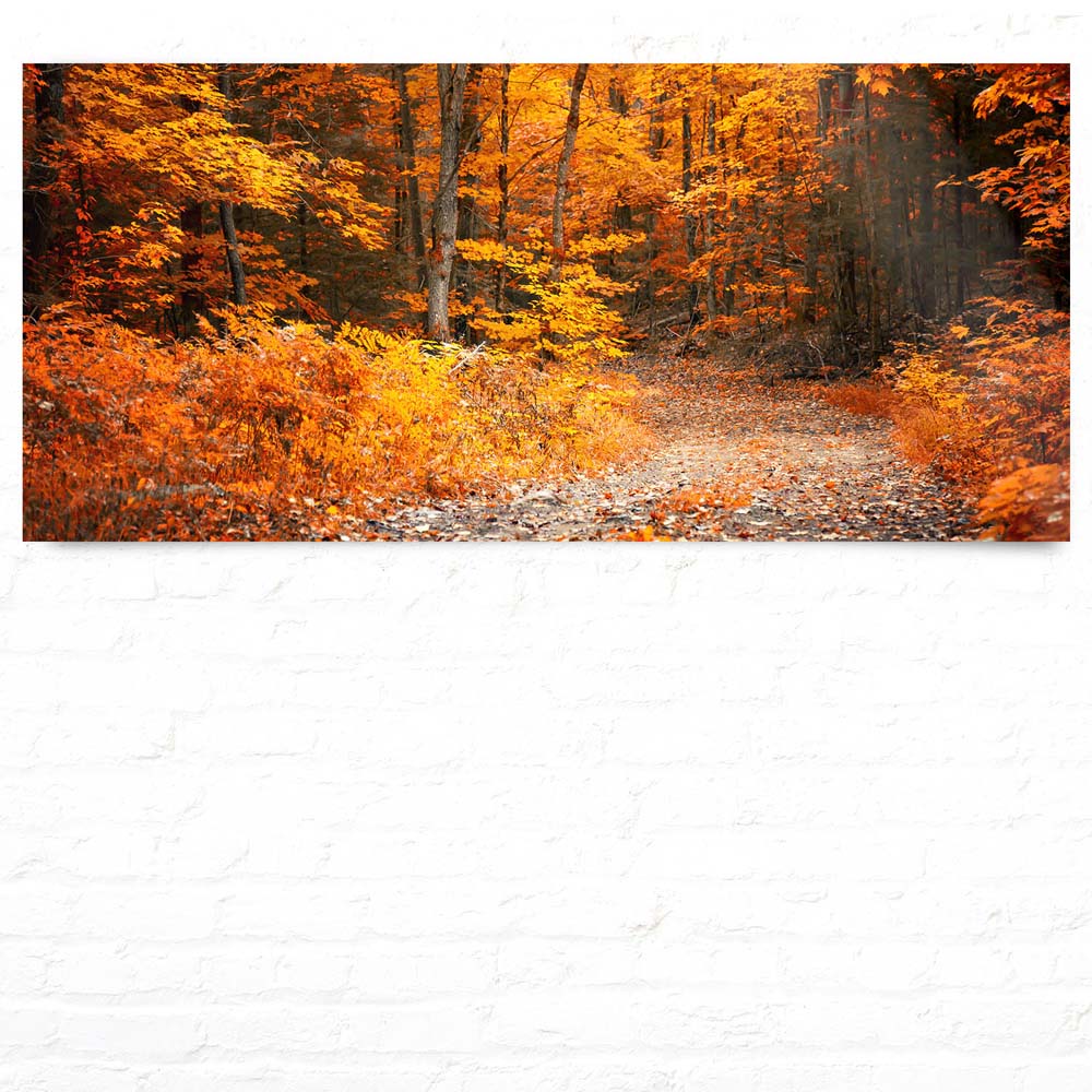 WandPoster 110x50cm Herbst Wanderung II, Wald & Bäume