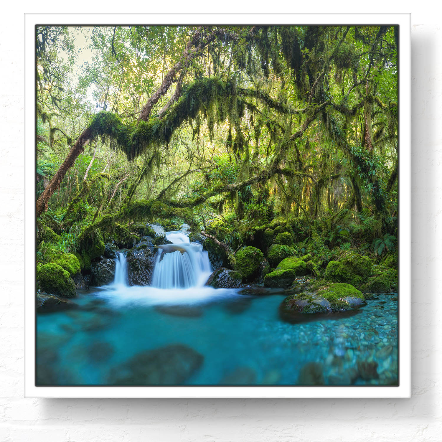 Dschungel idylischer Bachlauf im weißen Bilderrahmen, 50x50cm