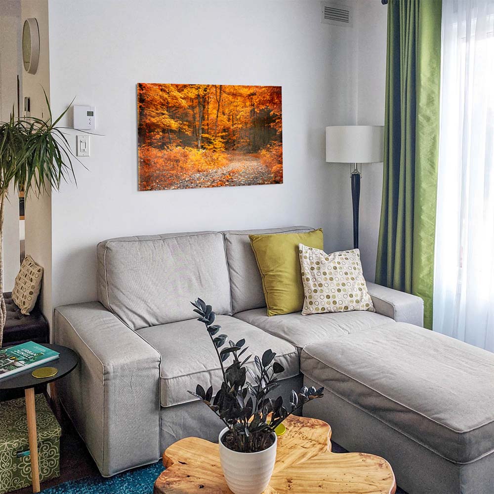 Acrylglasbild 150x50cm groß Wald & Bäume Herbst Wanderung II