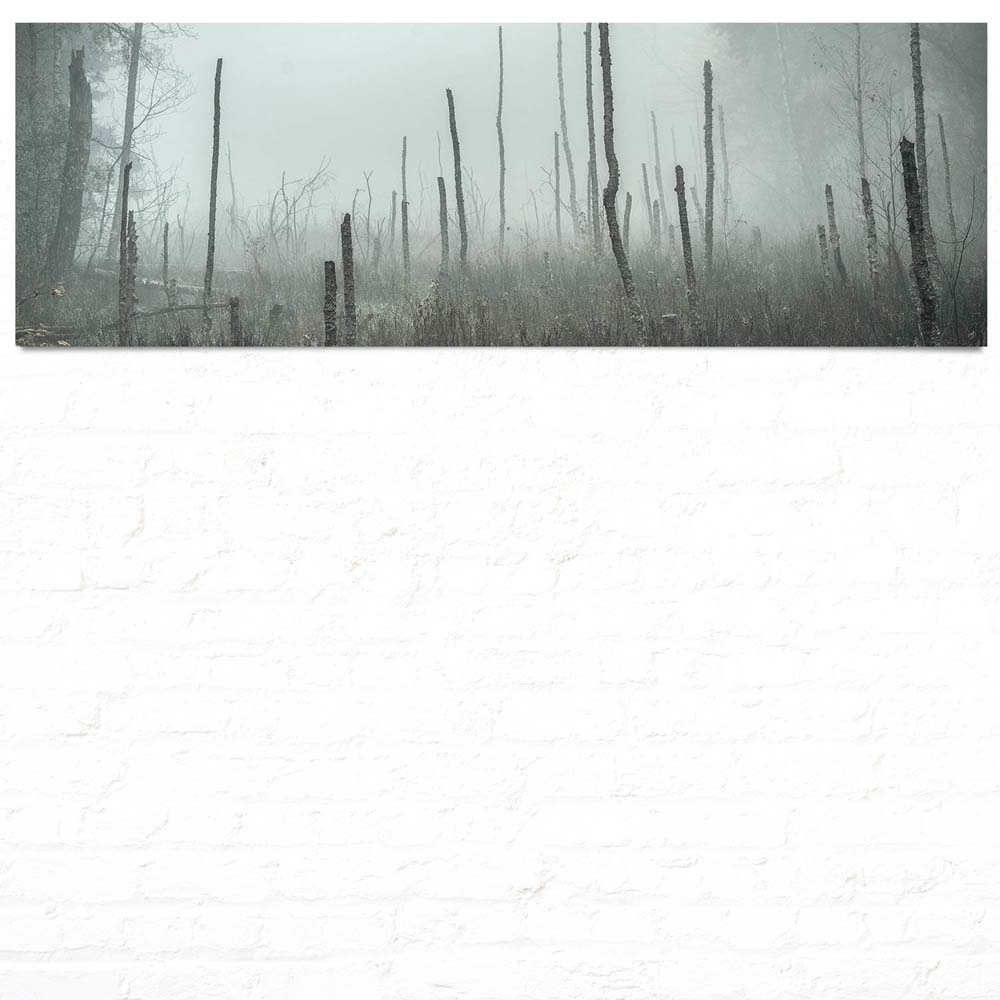 Panorama Poster 150x50cm, Wald Bäume Sumpfgebiet