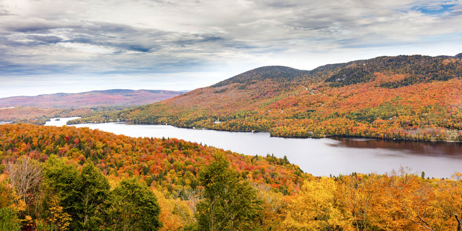 Wald & Bäume Indian Summer, Québec, Kanada als Keilrahmenbild 180x90cm