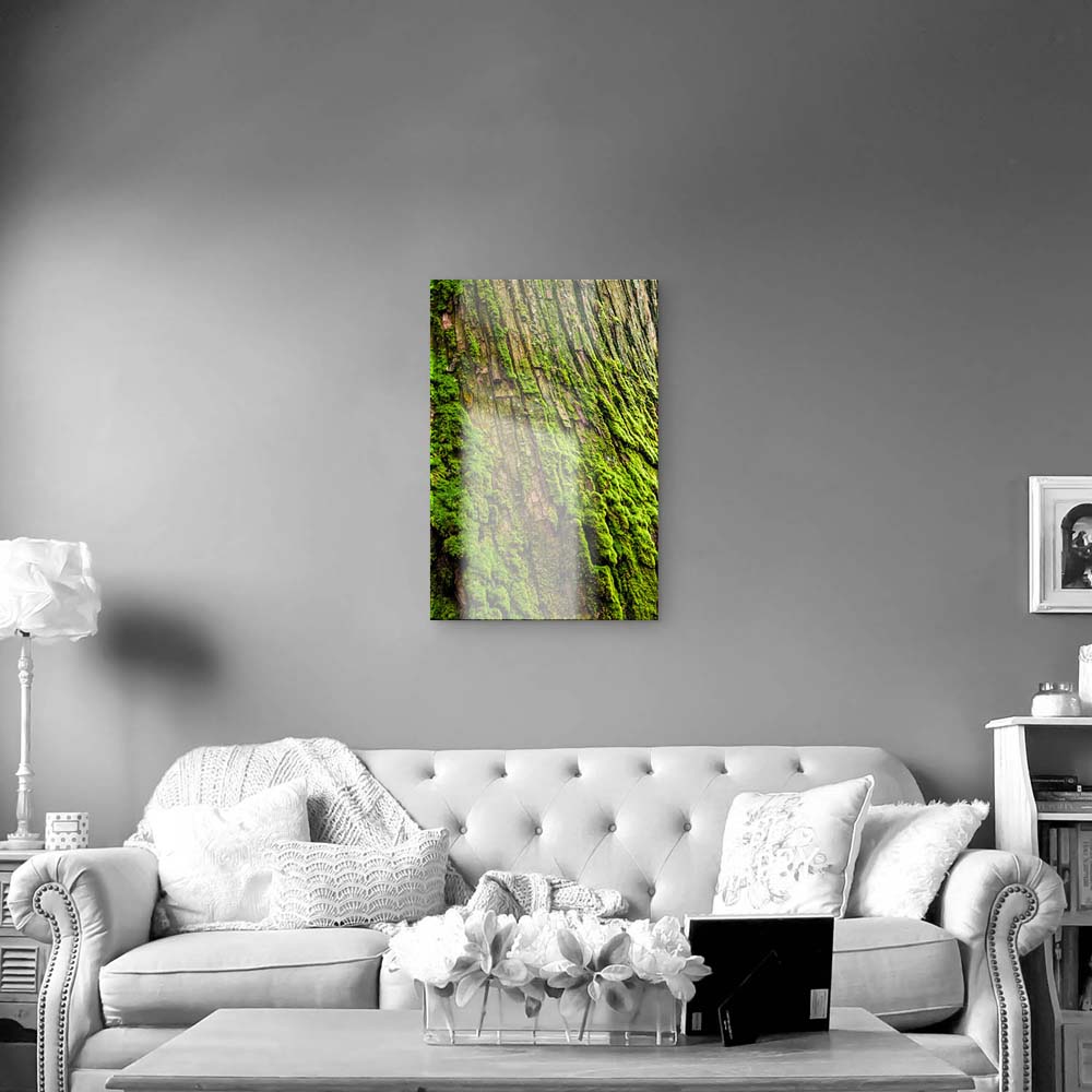 Wald & Baum im XXL Hochformat, Moos als Acrylglasbild 100x150cm