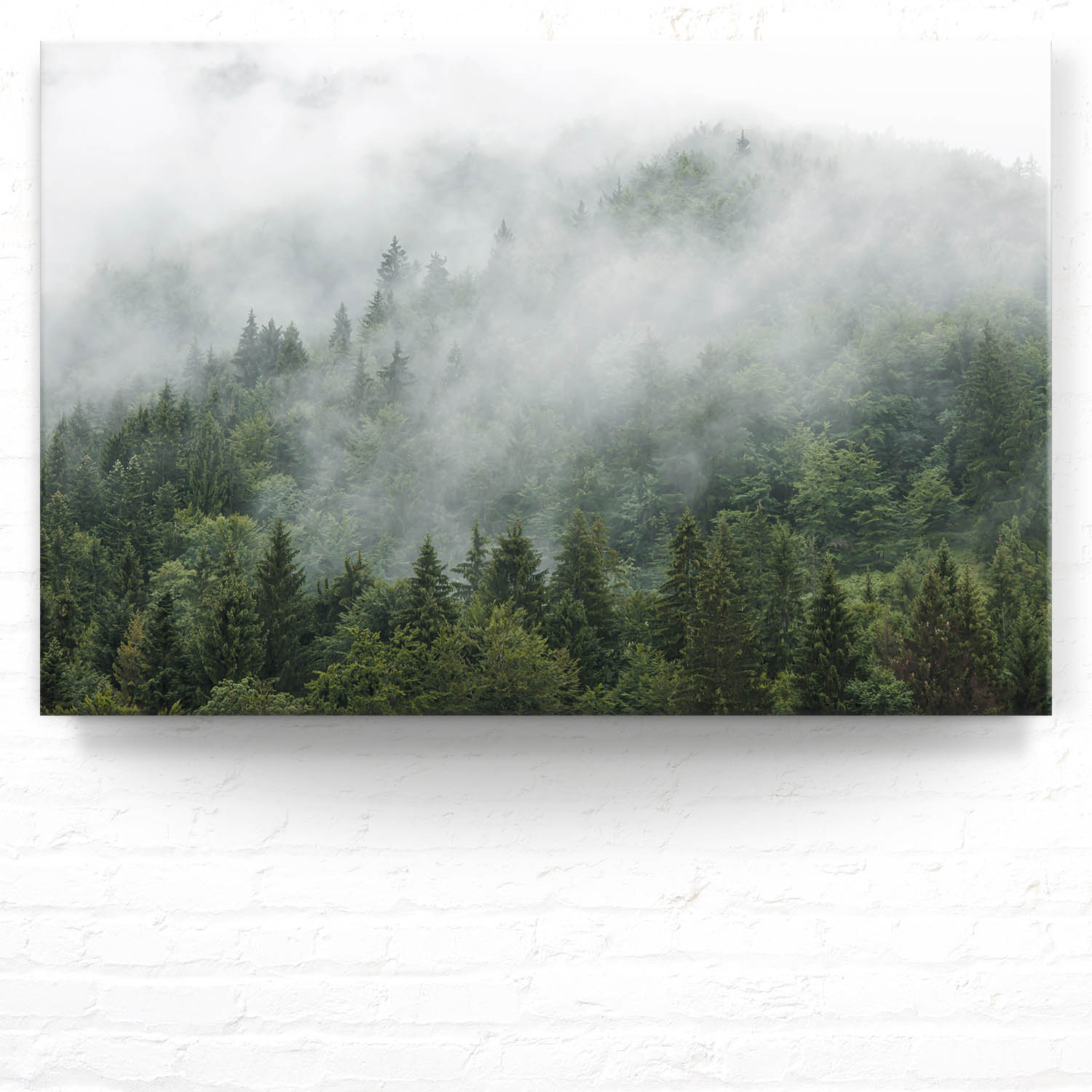 Leinwandbild Im Nebel, Wald & Bäume 90x60cm