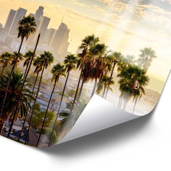 WandPoster Skyline Los Angeles Palmen, 50x50cm