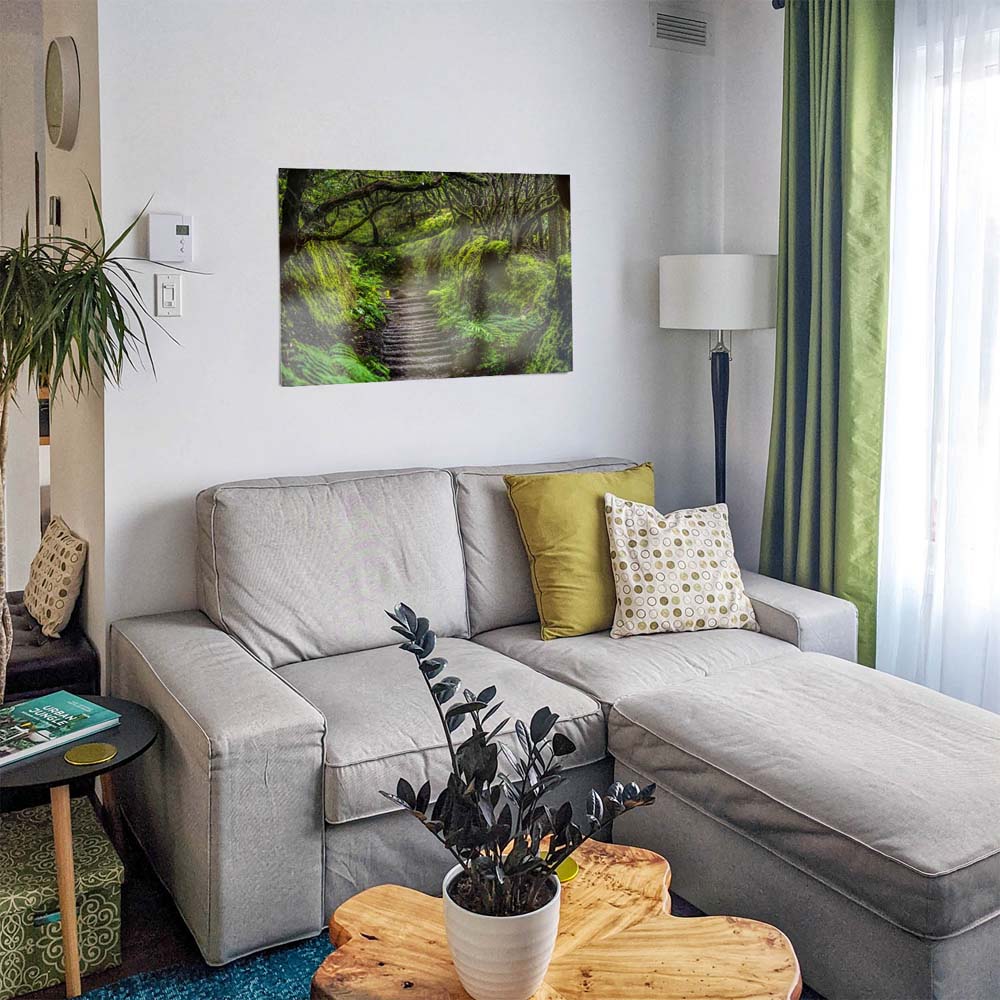 WandPoster Teneriffa Anaga Regenwald, 50x50cm