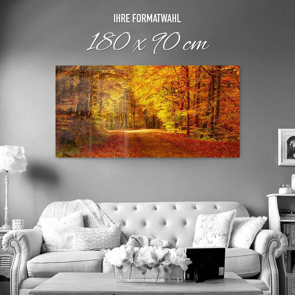 Panorama Acrylglasbild 180x90cm Wald & Bäume Goldener Waldweg