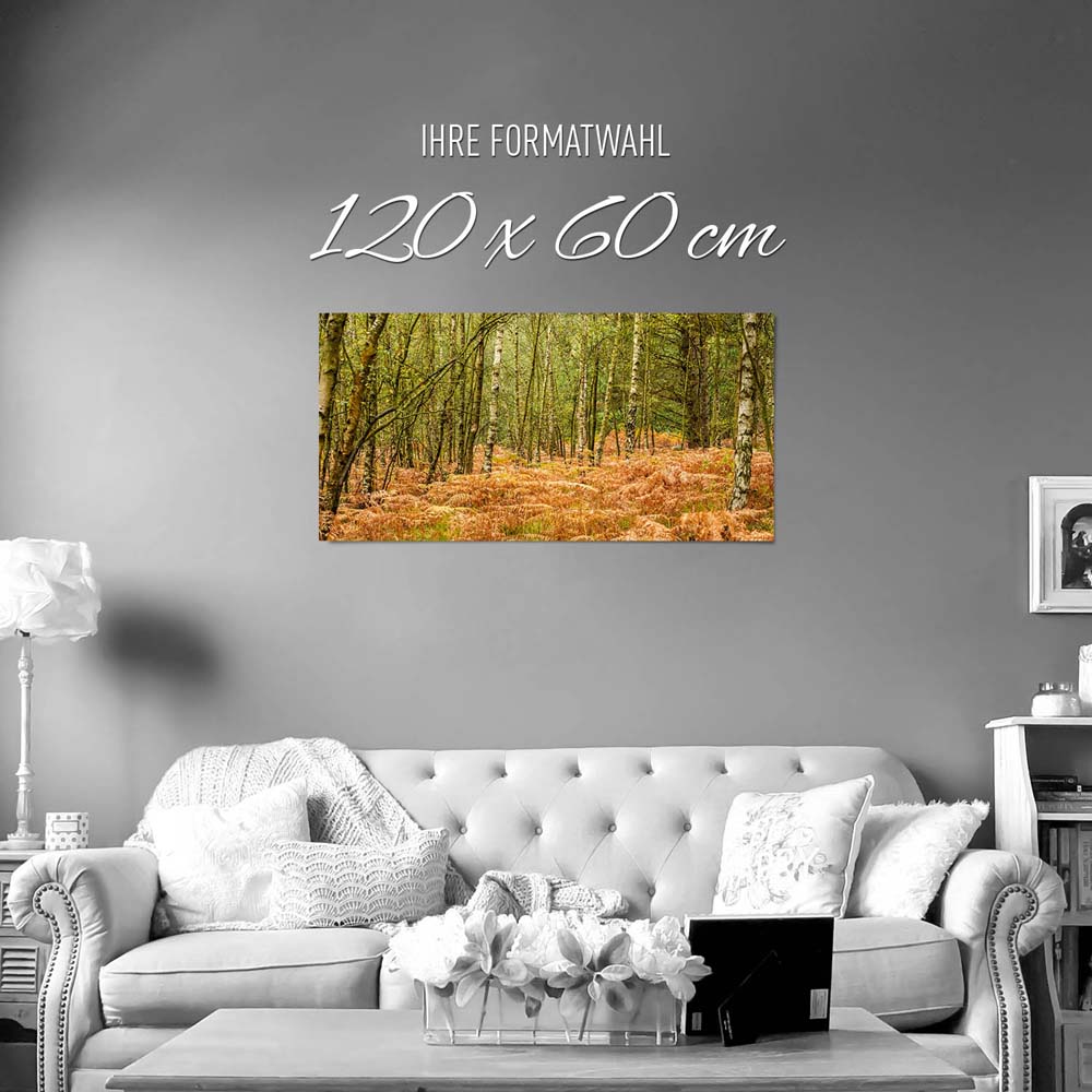 Wald & Bäume Farn im Herbst als Poster 120x60cm