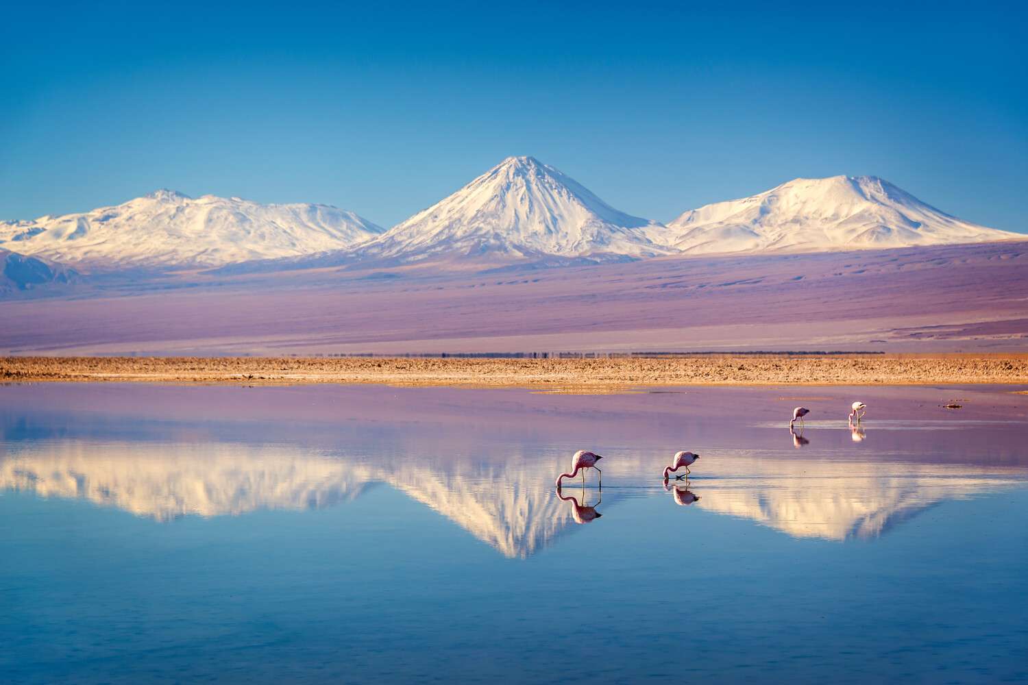 Berge & Gebirge Anden Atacama als Alu-Dibond Bild 120x80cm