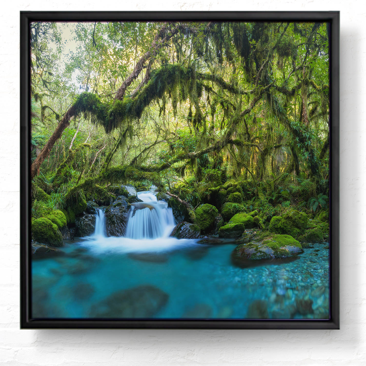Dschungel idylischer Bachlauf im schwarzen Bilderrahmen, 50x50cm