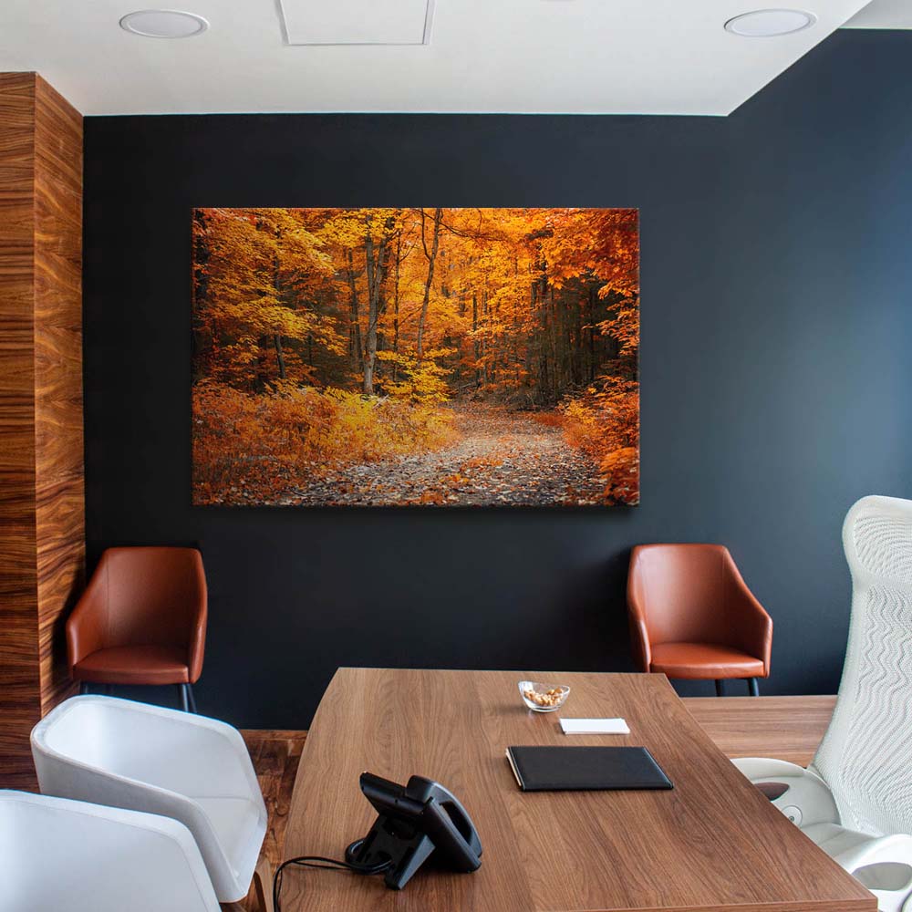 Wald & Bäume Herbst Wanderung II als Keilrahmenbild 180x90cm