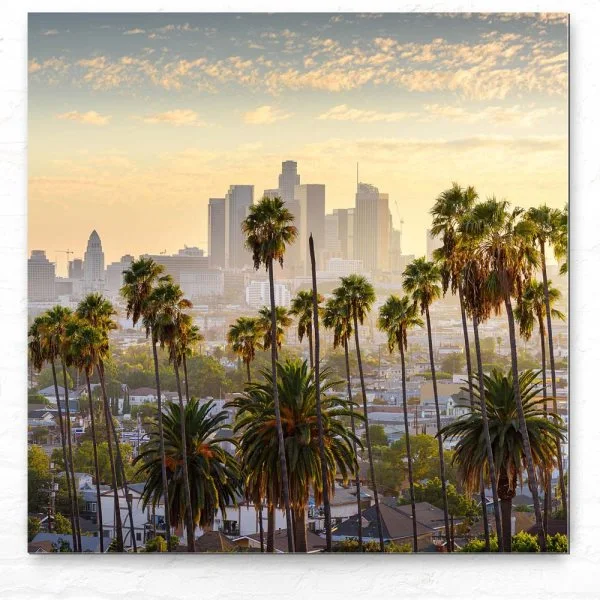Skyline Los Angeles Palmen als Alu-Dibond Bild 50x50cm