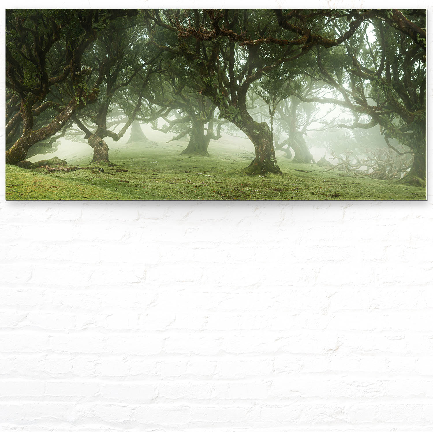 Wald & Bäume Nebel Gestalten als Acrylglasverbund Bild 110x50cm