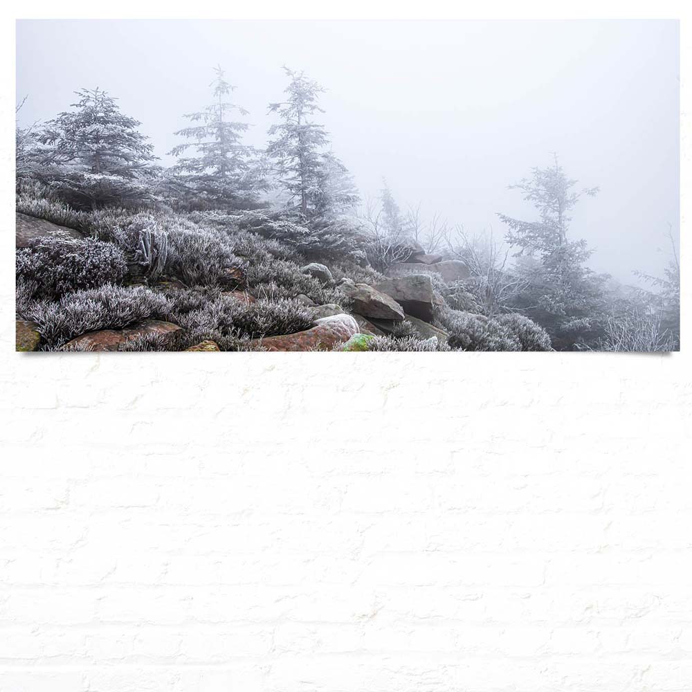 Großformat Poster Wald & Bäume Schwarzwald Frost, 180x90cm